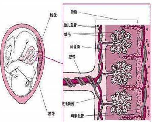 武汉失独家庭助孕指南，人工授精后无感觉是否未孕