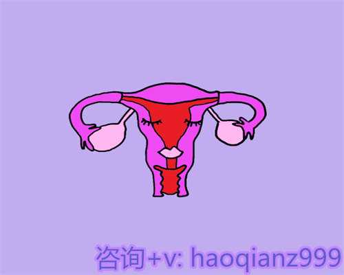 武汉失独供卵与湖北试管婴儿技术成功率分析