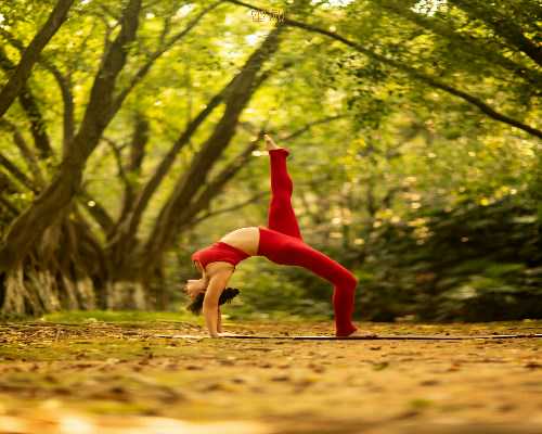 石嘴山2026供卵试管医院排行与助孕现状解析